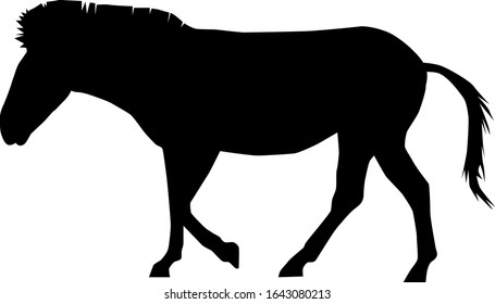 plains zebra (Equus quagga) from side silhouette vector isolated on white background