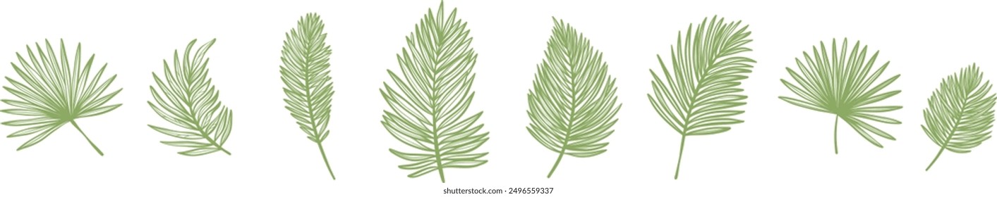 Plam leaf banner design, line art elegant foliage tropical doodles, vector illustration set