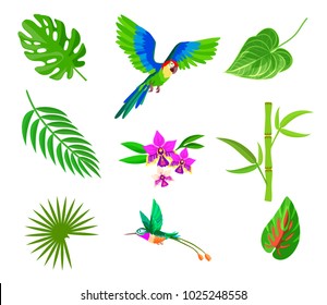 Plam leaf and tropical plant leaves and bird icons element set isolated on white