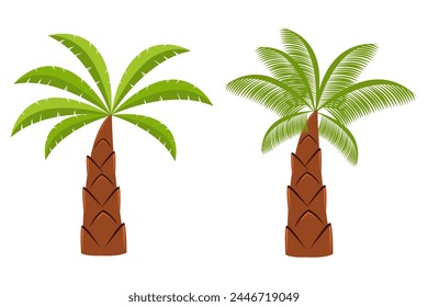 plam tree and coconut tree. summer plant element