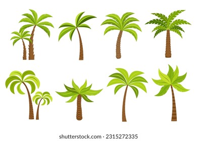 plam tree and coconut trees isolated on white background