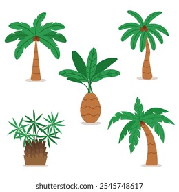 plam tree and coconut trees isolated on white background