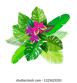 Plam tree leaves and flowers elements. Tropical summer element for label design. 