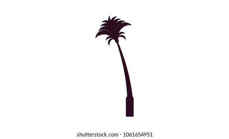 Plam tree silhouette isolated vector illustration