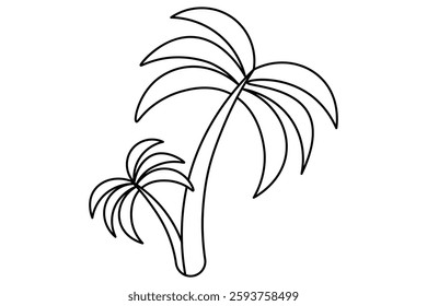Plam tree single line art and drawing Vector in line style on white background
