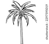 Plam Tree Vector Icon in Minimal Line Art 