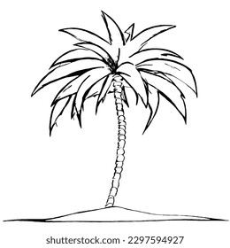 Plam Tree Vector Icon in Minimal Line Art 