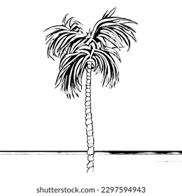 Icono del vector de árbol de álamos en el arte de línea mínima 