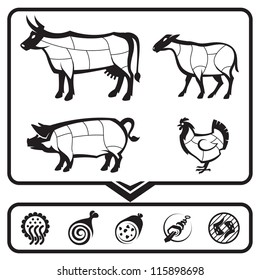 plan for cutting meat cows, sheep, pigs and chickens