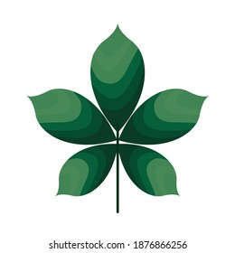 plan with five leaves of green color vector illustration design