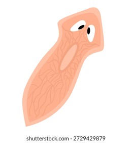 Planarisches Bakterium Flatworm Vektorgrafik