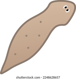 Planarian flatworm isolated vector illustration.