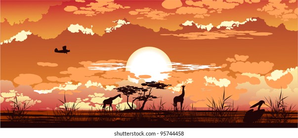 The plane flies at dusk over the African savanna