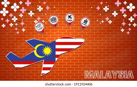 plane icon made from the flag of Malaysia