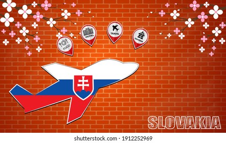 plane icon made from the flag of Slovakia