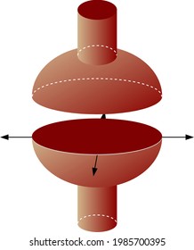 A Plane Joint Is A Synovial Joint Which, Under Physiological Conditions, Allows Only Gliding Movement