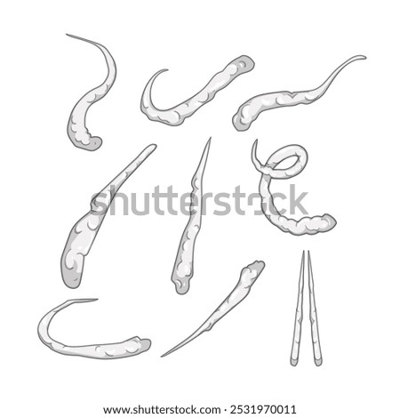 plane smoke trail set cartoon. sky jet, vapor cloud, atmosphere altitude plane smoke trail sign. isolated symbol vector illustration