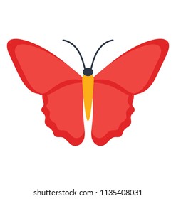 
Plane and spotless icon showing cethosia biblis butterfly 
