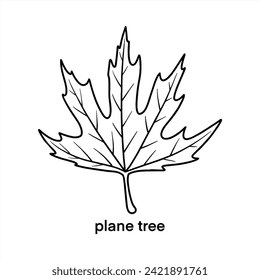 Hoja de árbol de plano - Diseño de vector de contorno negro 