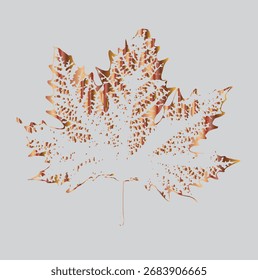 plane tree leaf vector icon background leaf
