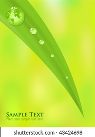 Planet earth inside a green dew drop of water