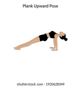 Plank upward pose yoga workout on the white background. Vector illustration