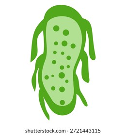 Ilustração do Plankton Cartoon Vetor. Phytoplâncton.Vetor ilustração plâncton no fundo branco