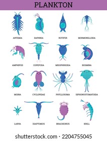 Plankton sea microorganisms icons collection cartoon vector illustrations set isolated on white background plankton. Zooplankton organism classification infographic.