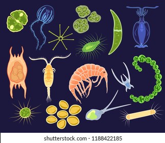 Plankton vector aquatic phytoplankton and planktonic microorganism under microscope in ocean illustration set of micro cell organism in microbiology underwater sea isolated on background
