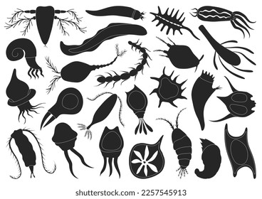 Plankton vector black set icon. Isolated black set icon phytoplankton.Vector illustration plankton on white background.