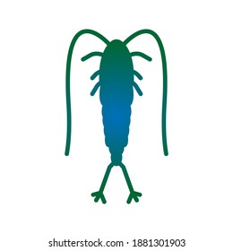 Plankton vector icon. copepod icon. animal sign. vector illustration
