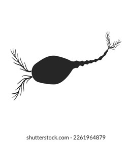 Icono vector Plankton.Icono vector negro aislado en plancton de fondo blanco.