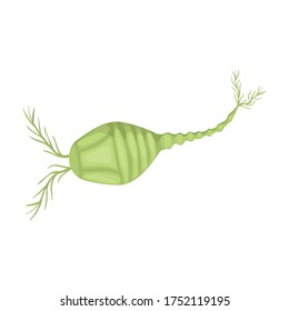 Plankton vector icon.Cartoon vector icon isolated on white background plankton.