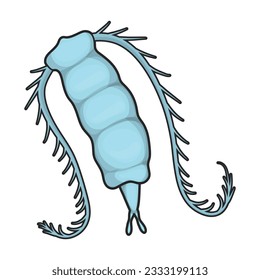 Plankton vector icon.Color vector icon isolated on white background plankton.