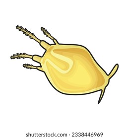 Plankton vector icon.Color vector icon isolated on white background plankton.