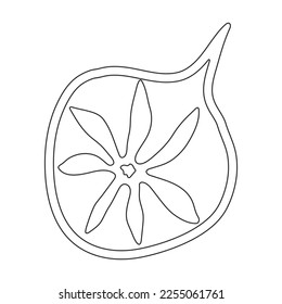 Plankton vector icon.Outline vector icon isolated on white background plankton.