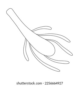Plankton vector icon.Outline vector icon isolated on white background plankton.