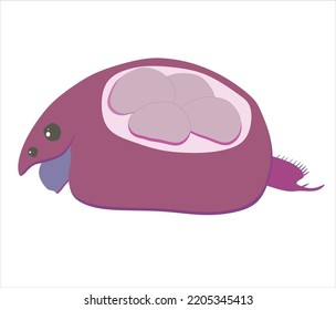 Plankton or water flea shameless vector icon. Cartoon vector icon isolated on white background.
