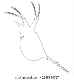 Icono vector sin vergüenza de pulgas o plancton. Icono vectorial de dibujos animados aislado en fondo blanco.