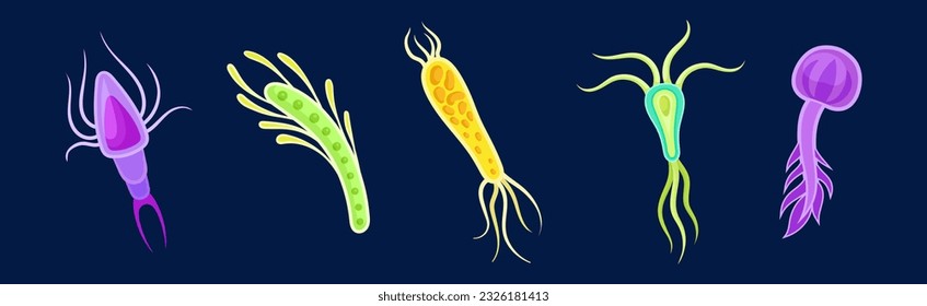 Plankton Water Organism with Tentacles Free Floating on Dark Background Vector Set