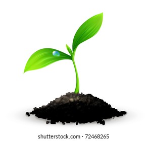 Plant, 10eps
