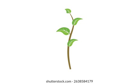 Plant 7: Abstract vector leaves in flat style