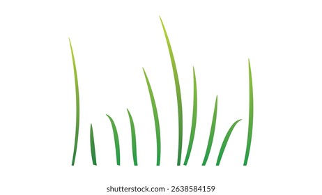 Plant 9: Leaves of grass vector design on white background