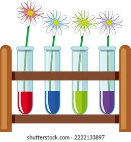 Planta absorber la ilustración del experimento del color del agua