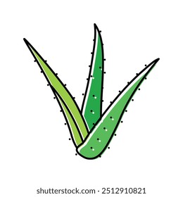 plant aloe vera color icon vector. plant aloe vera sign. isolated symbol illustration