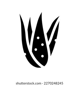 plant aloe vera glyph icon vector. plant aloe vera sign. isolated symbol illustration