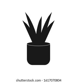 Plant, aloe vera vector icon