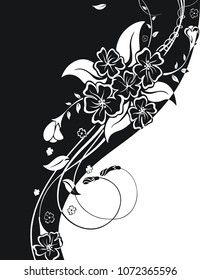 plant arc, lily