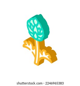vector de icono isométrico de alcachofa de planta. signo de alcachofa de planta. ilustración de símbolo aislado