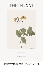 The plant. Autumn flower market poster. Herbarium